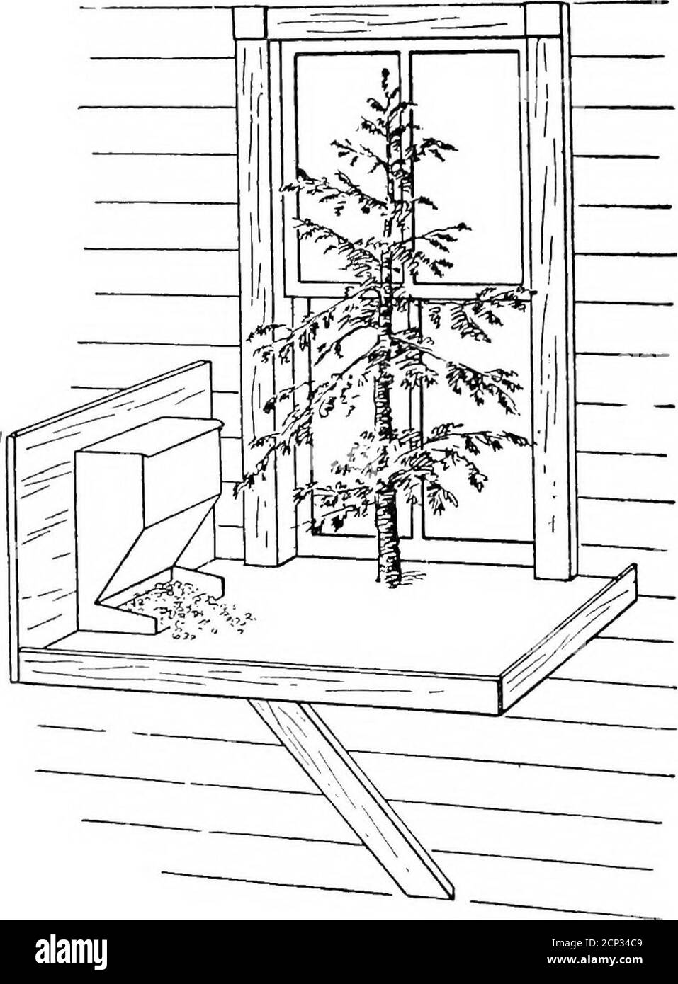 . Wie man Wildvögel über die Heimat zu gewinnen. Spotting Bird on suspendiert Lunch Counter, Januar 15:12 Boden aus Holz erstreckt sich einen Fuß außerhalb des Gebäudes, afifordingreichlichen Raum, um viele Vögel auf einmal zu unterhalten.. Leicht CoDstructed Fenster Fütterungsregal Es ist gemacht, um eng in den Rahmen passen, wenn die untere^Asche angehoben wird. 1he-Seite in Richtung Raum sollte aufklappbar sein Stockfoto