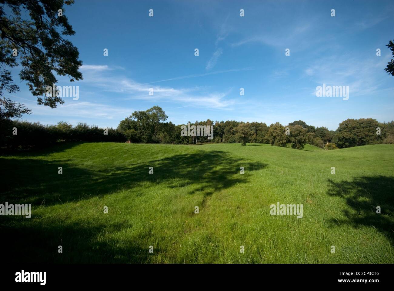 Prestbury Farmland neben der Chelford Road Stockfoto