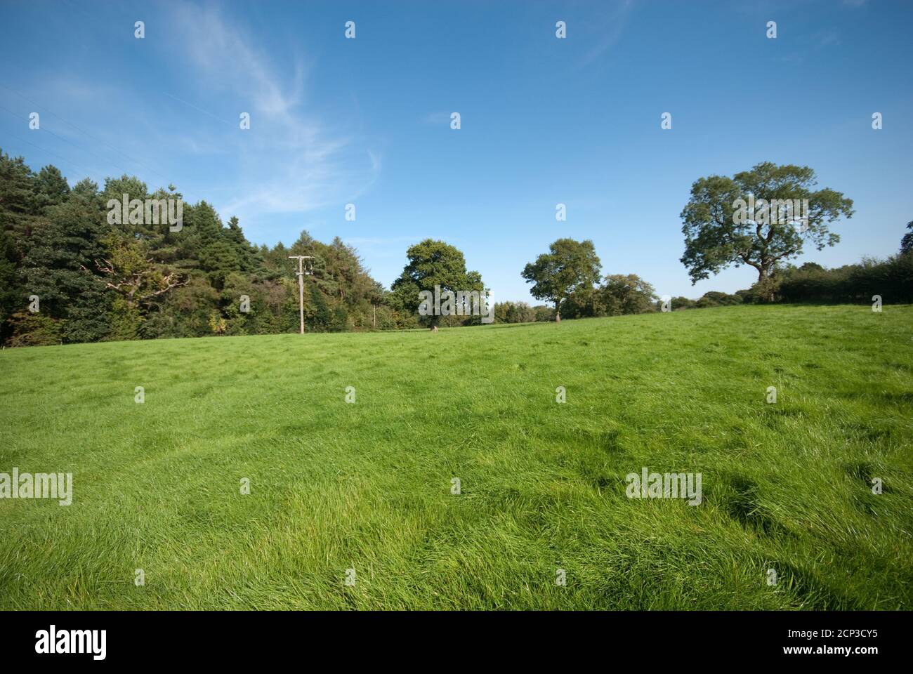 Prestbury Farmland neben der Chelford Road Stockfoto