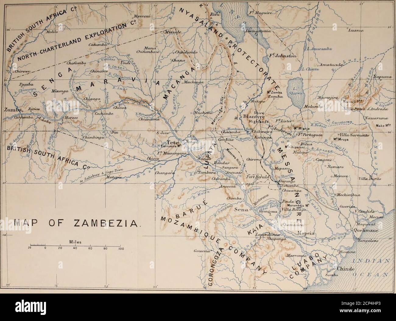 . Wild in Zambezia . beeste – Tessebe . . .118 VII Invala – Bushbuck – Reedbuck – Impala – Duiker – Livingstones Antelope – Oribi – Klipspringer – Steenbuck . . .140 VIII Die Fleischesser: Löwe-Leopard-Luchs. l65 IX. Fleisch-Esser (Fortsetzung) : Gepard – Hyena – Schakal – Jagdhund – Serval – Civet – Genet – Mungoose .... 195 X. die Schweine-Stachelschweine-Ameise-Bär-Honig Dachs-Otter-Hasen-Rock-Kaninchen-Riesenrat-schuppige Ameise-Esser .... 220 XI Die Affen . . .238 XII. Krokodile – Schlangen – einige andere Reptilien . 258 XIII Gewehre – Lagerausrüstung – Allgemeine Hinweise . 284 XIV Vögel und Vogelschießen .... 320XV. Tsetse-Fly – Spielauflösung Stockfoto