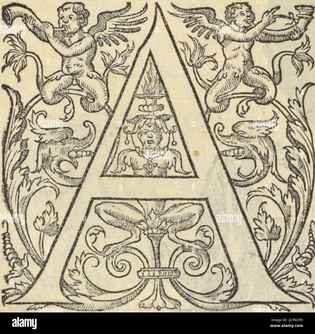 . L'histoire de la natvre des oyseavx : avec levrs Beschreibungen, & naïfs portraicts retirez du natvrel, escrite en sept livres . LE S I XI E S M E LIVRE DE LA NATVRE DES OYSEAVX, QJONtroue viander indifféremment en touts lieux:auec leurs deferiptions &portrai£rs,retirez du naturel. Du Corbeau. CHAPITRE PREMIER... V-GENRE Corbin, je Corbeau eft leplus Grand, & après luy la Grole, ou Freux, puisla Corneille noire, la Corneille emmantele,&la Chouquette Rouge, & puis la noire. Et par ceque nature voulut que le principal de la nourriture de ce Corbeau fuit de charongne, elle luybailla vn molt bon b Stockfoto