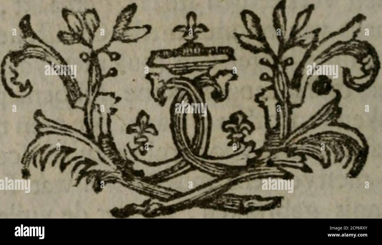 . De kapelle der Dooden, de algemeene dooden-spiegel. In welken alle Menschen, van wat Staat of Rang zy zyn mogen, zich tot hun nut konnen beschouwen; om indagtig te zyn het memento mori, of gedenkt to sterven .. . ftopte neuzen in hunnen eigenen boezem, of inde graffteden van hen en anderen ftaken ; op dat zyniet als neuswyzen , eenmaal tot den eeuwigen zwa-veldamp verwezen mogen worden, waarin de rookhunner quaal in eeuwigheit zal opklimmen. Openb,14: II. Ach, gy ftervelingen. laat ons bedenken, datvan Natur niets goeds in ons woont- dat niets danftank onzer zonde in de hoogte klimt ^ da Stockfoto