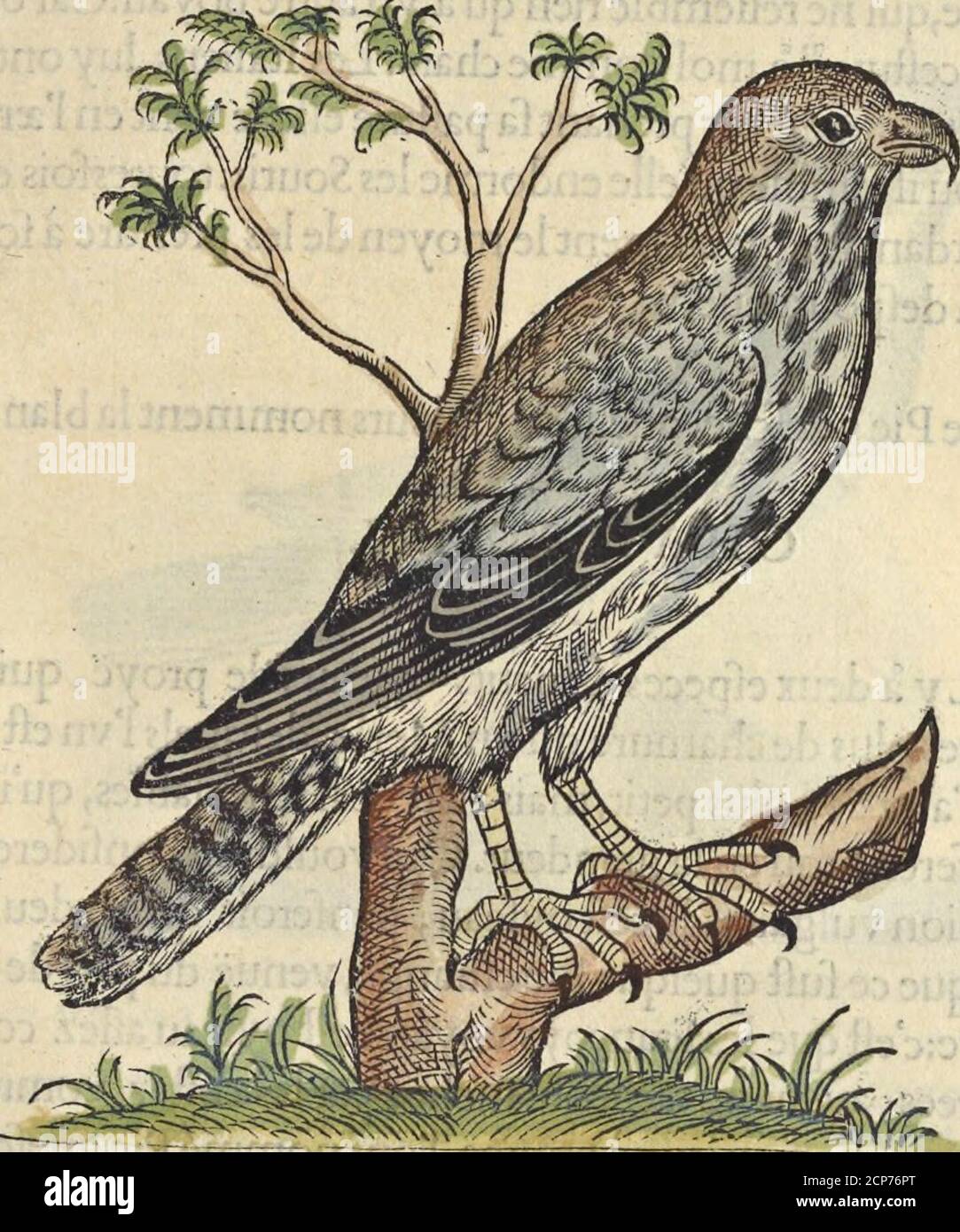 B E Stockfotos Und Bilder Kaufen Seite 330 Alamy