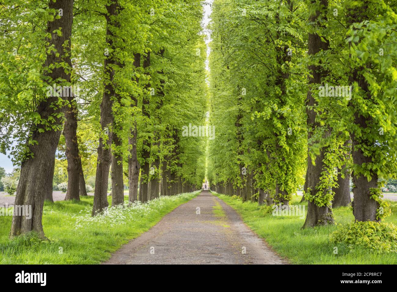 Evenburg-Allee in leer, Ostfriesland, Nordseeküste, Niedersachsen, Norddeutschland, Deutschland, Europa Stockfoto