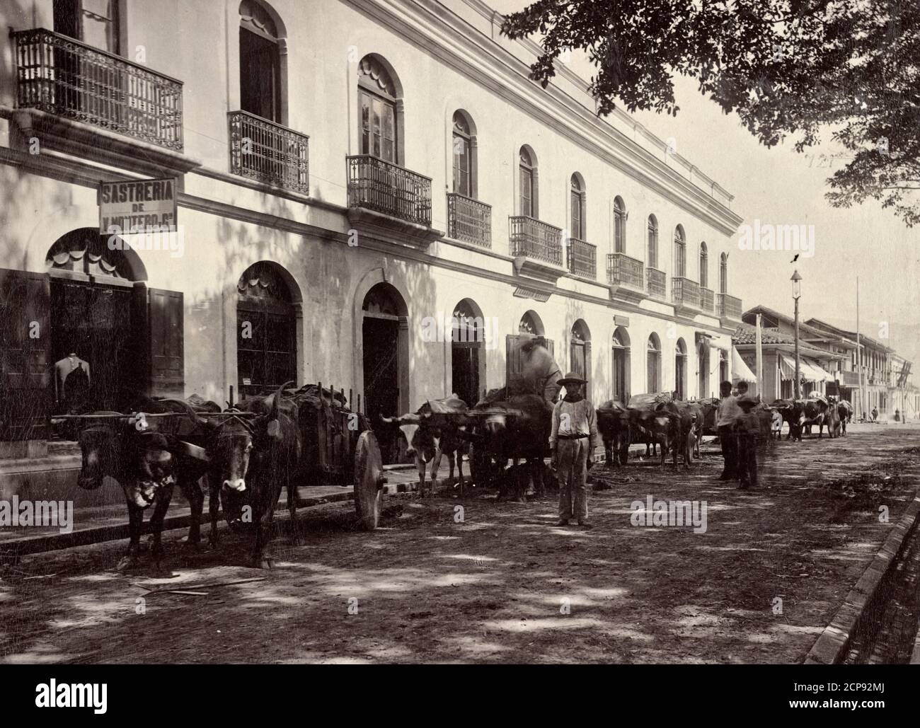 San Jose, Costa Rica, Straße mit Ochsenkarren vor Geschäften, um 1890 Stockfoto