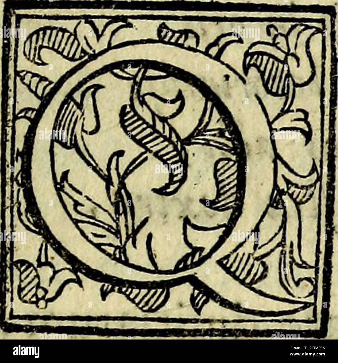 . Bibliothecae Alexandrinae icones symbolicae P.D. Christofori Giardae cler. Reg. S. Pauli elogiis illustratae . ■ - ■.,. S. A C R A SCRIPTVRA *3. V je prima tempore, vtilitate piima^,prima dignitate omniu artium,& fcien-tiafurn eft: eadem iure Principern & inhac Bibliotheea fedem, & in orationenoftra locurn fibi merito vindicat Sa-cra Scriptura. Namfi exArati poeta?ethnici fententia ab loue mufarurn initia funtj certe->nobis, qui diuiniori fumus colluftrati lumin, vt agen-di, ita etiam dicendi ab ea facultate, qu^ diuina totaeft, funtcapiendahodieprimordia* HXC vocigitur, Fi Stockfoto