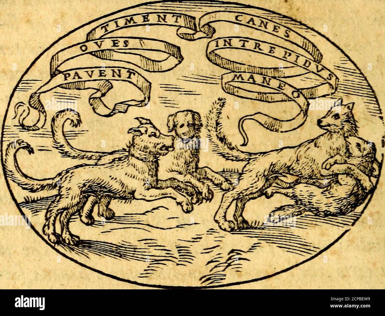 . Dialogo dell'imprese militari et amorose . o-loyil qualfi lamenta, che ne gli Elogi/ non ha ri-trovato il Caualier dalla Volpe, il qual Fu Fi granvalenfhùomo al feruigio di San Marco per honoret Italia i ma io ltìò conflato ; Dicendogli -, che ioera cèrto,chel Signor Caualierenon €&gt;haueua FAT-to ritrarre per effere alquanto difforme di volto, ef-fendogli fiato hònàramente cattato vn occhiò in bat-taglia &gt; e che gli hurei procurato ricompénfd inqueHo trattato delle imprefe. Lo domandai adun-que fé egli hauena portato alcuna imprefa: Corneadiffe égli ì non Fi sa, ctiei portaua vna braua Stockfoto