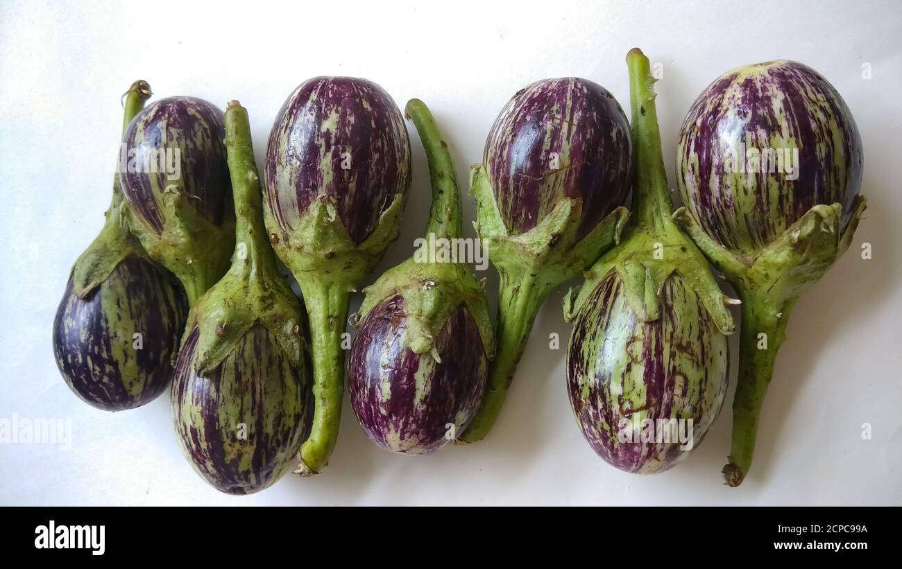 Indisches organisches Shinjal isoliert auf flachem weißem Hintergrund mit selektivem Fokus. Stockfoto