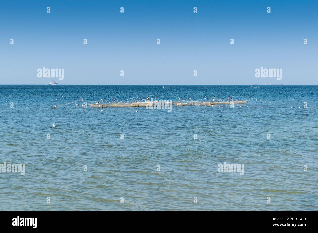 Oyster Farm am Meer auf einer ruhigen und sonnigen Sommertag Stockfoto