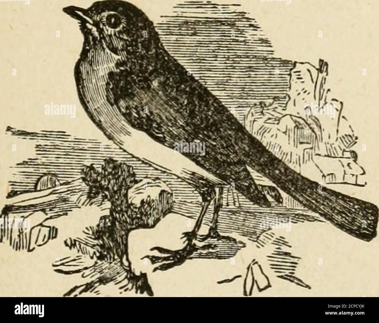 Anflehen Stockfotos Und Bilder Kaufen Alamy