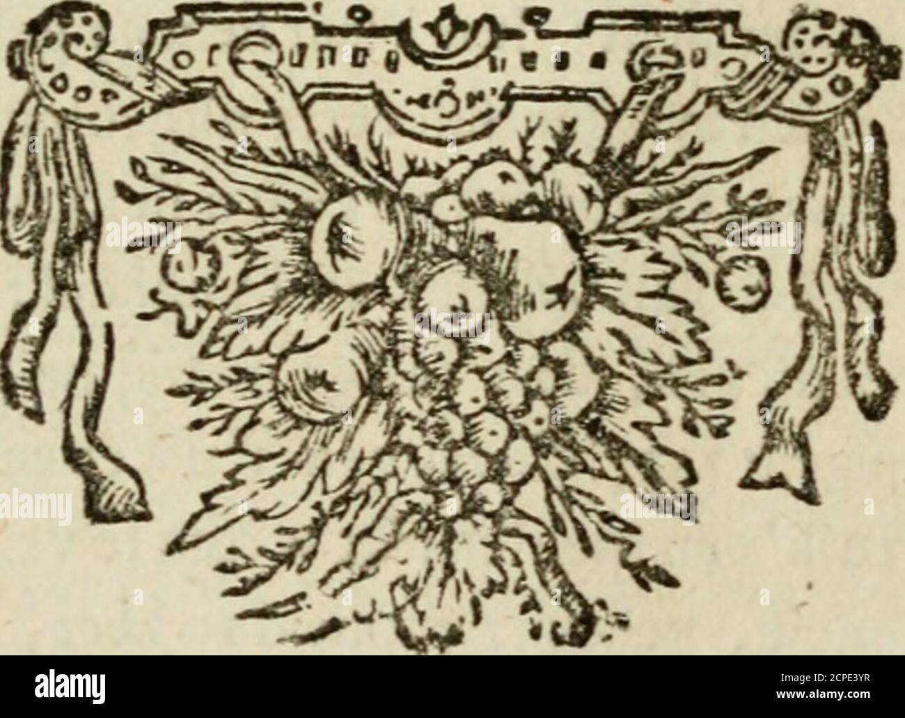 . Bloem-tuintje : bestaande in twee deelen : het eerste in innerlyke bedenkingen, en geleikenissen, het tweede in eenige zang- en lees-rymen . ecdelyk ook niet te zeer kommert:Gedanke an Chridi VVoort, en hoopt op Godts gena,ons Dan Heilandt heeft gezied at; ik at. HY ^ild de plaats bereit,daar hy t bedroefde Volk hier na eens in zal leiden;daar haar nooit drukken zal, noch droefheid, ziekf,noch pyn: ^ Hoopt ! Aan myn E. Stief-Moeder, a^y Hoopt dat gy mede een van dat getal Kult 2yn. Schouwt droefheid waar gykont, enwütinGodtver»blyden, Gy zult mifchien te ee Stockfoto