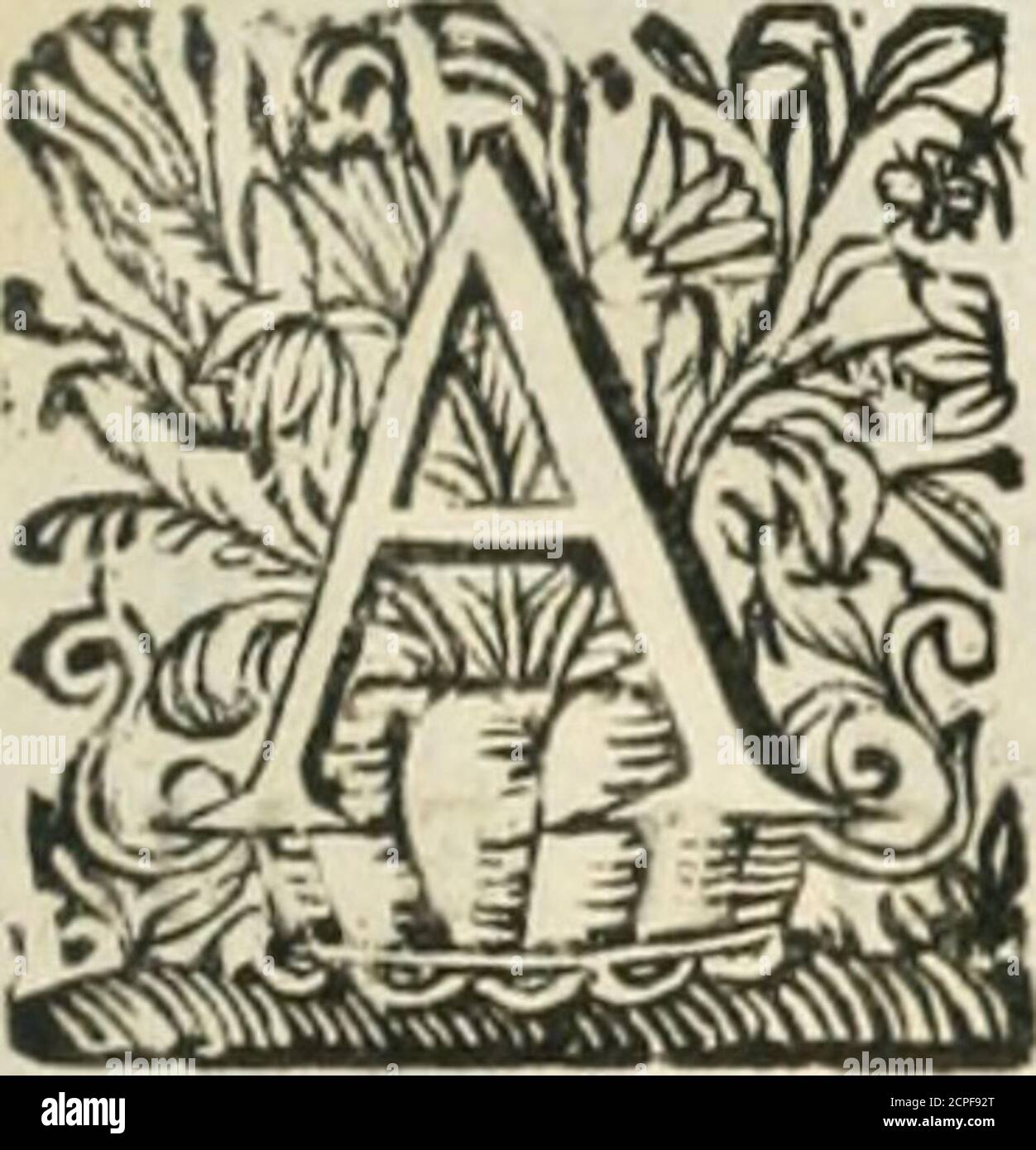 . O principe dos patriarcas S. Bento : primeiro[-segundo] tomo de sua vida . SABEDORIA para fentenciar apegou ema penna ; & a Ignorância querendo interme-ter-re,puxou da faca ^ a da língua ló defta hepennai&efta daSabcdoria helingua.Vcntu-rurozos foraõ mcos erros, fe fó no Trono fepozeraóà cenfuraj Mas como mudo temde aparecer expoftos de fer não poderão ferios. Seas noticias te ajudaré as forças, adverte no trabalho, que ciif-taó as obras,para que te compadeças do defvcllo, que me cuf-tou efte Livroj & náo havendoalgum,que fe li vra-fe de Falta,foy femprede Difcretoso paflar por d Stockfoto