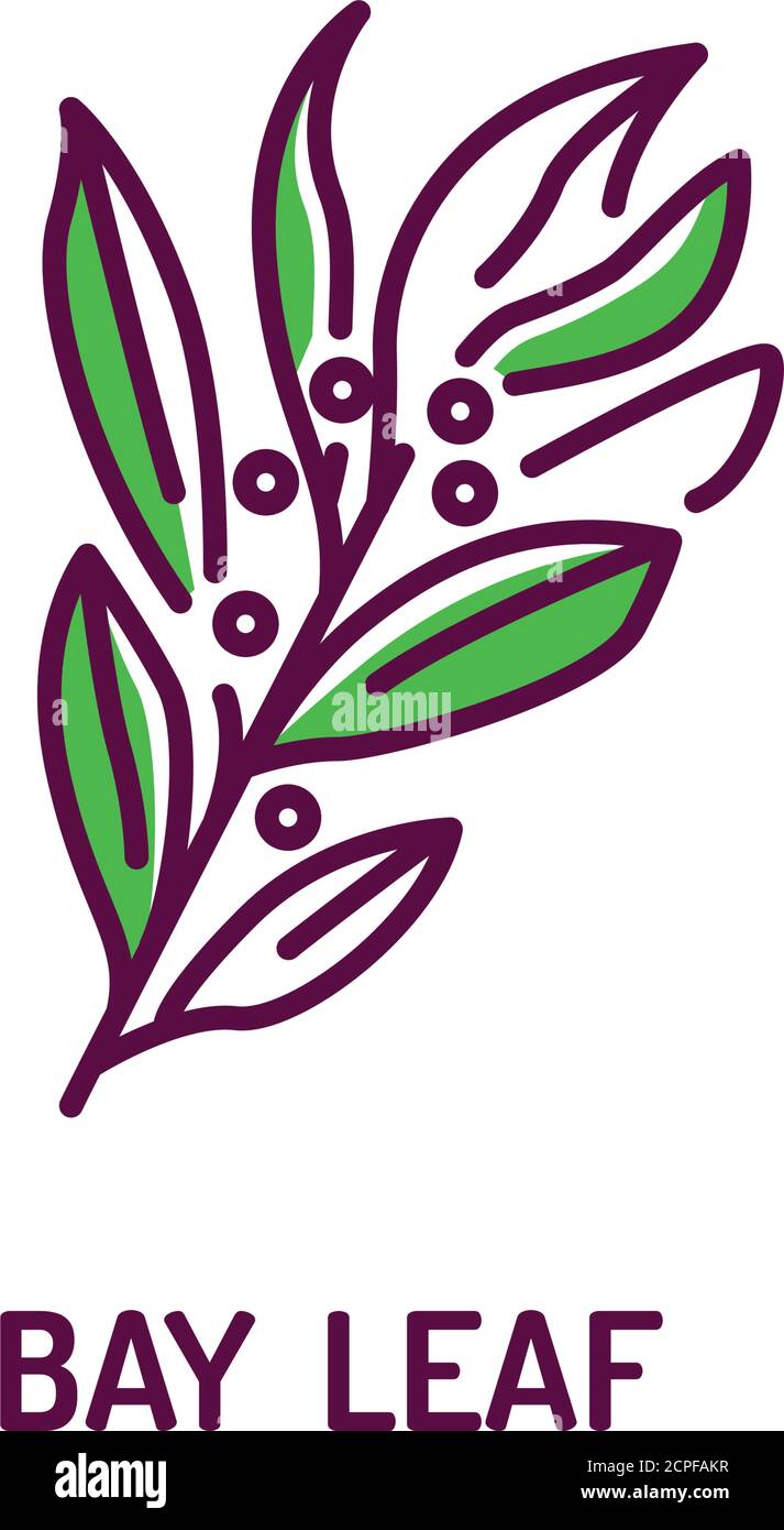 Symbol für die Farblinie der Bay-Lamellen. Gewürzprodukt. Zutat zum Kochen. Piktogramm für Webseite, mobile App, Promo. Stock Vektor