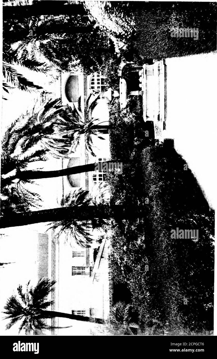 . Vogeljagd durch wildes Europa. Die Größe der massiven Felsen und Käferabhänge, in denen sie leben, kombinieren sie mit einer gewissen Schönheit und Eigenart. Der ägyptische Geier, obwohl seine Gewohnheiten eventmore abstoßend und ekelhaft als die von theGriffon sind, ist ein auffallend-schauender und hübscher 4o VOGEL-JAGENDER Vogel; und gesehen auf dem Flügel an den nahen Vierteln, mitits Jet schwarze Primaries und cremiges weißes Gefieder, ithatas durchaus ein unterscheidtes Aussehen. Beim Erreichen der Eisenbahn in San Fernando wevere von den Bergen des Salzes getroffen. In Cádiz gibt es kilometerlangen Sal Stockfoto