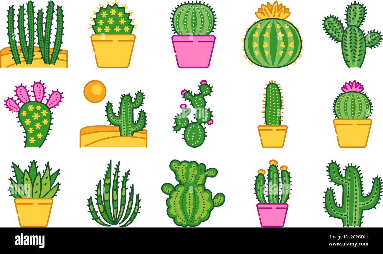 Verschiedene Arten wste Pflanzen Natur Kaktus. Vector Illustration  Stock-Vektorgrafik - Alamy
