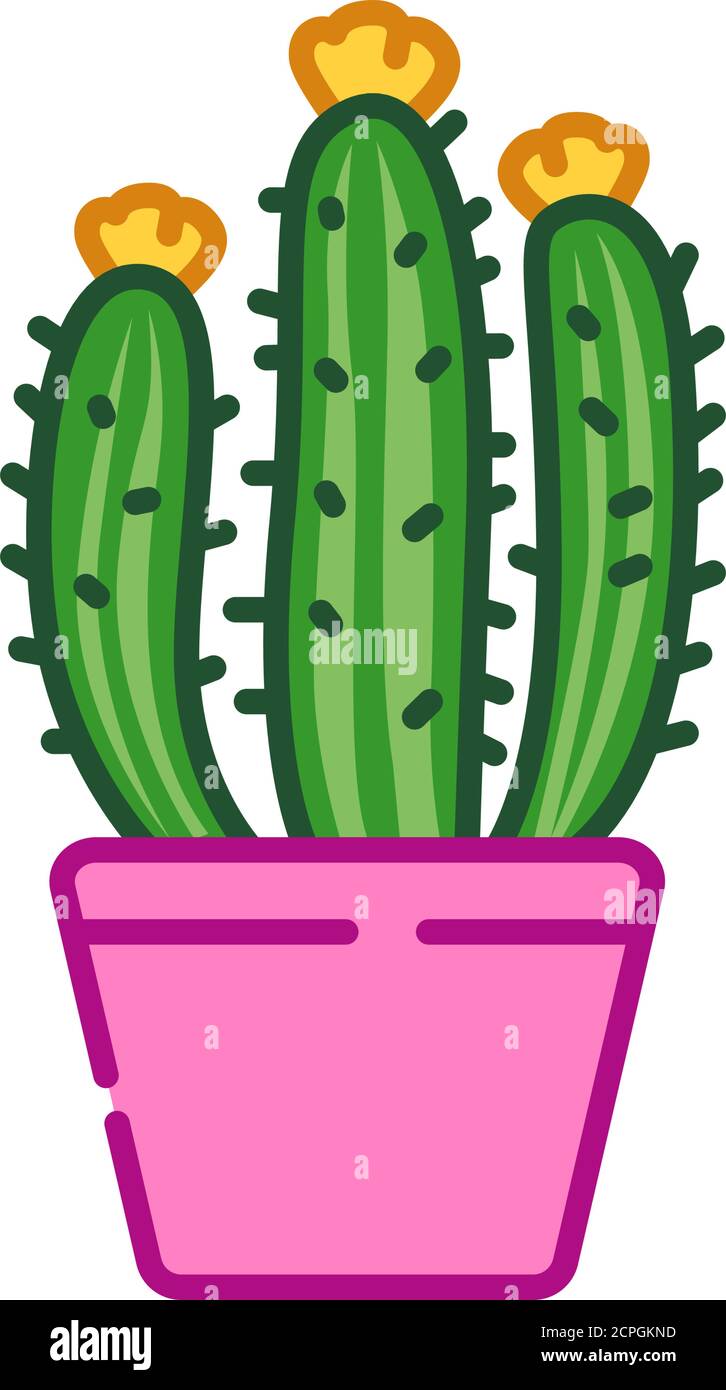 Kaktus mit Blume in Topf Farbe Linie Symbol. Kann im Innenbereich zur  Dekoration verwendet werden. Piktogramm fr Webseite, mobile App, Promo. UI  UX GUI Design Element Stock-Vektorgrafik - Alamy