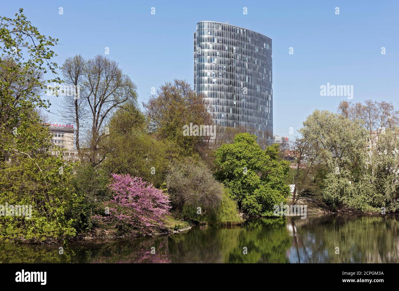 Schwanenspiegel im Frühjahr, GAP 15 Büroturm, Düsseldorf, Nordrhein-Westfalen, Deutschland, Europa Stockfoto