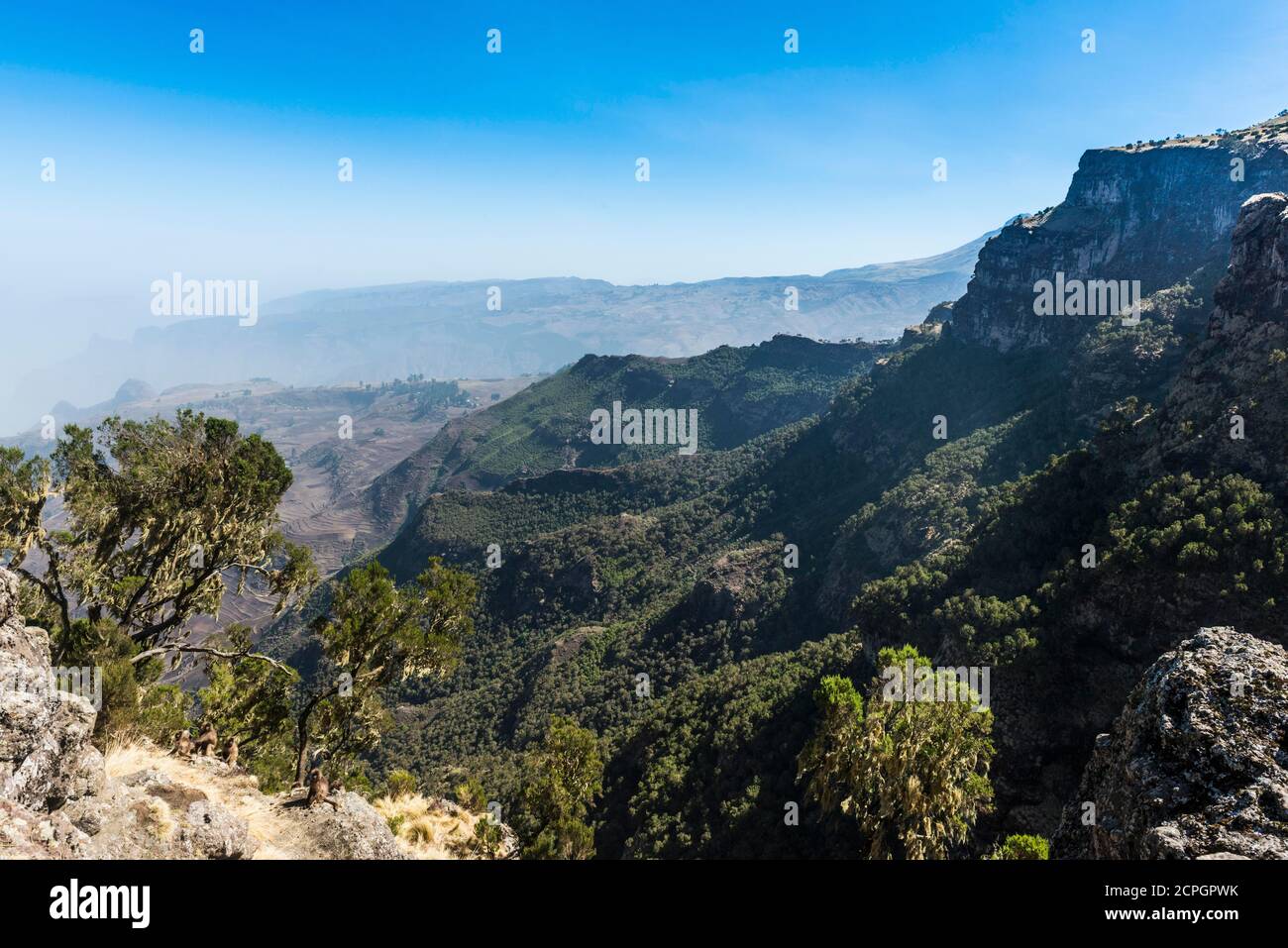 Berglandschaft, Simien Mountains National Park, Äthiopien, Afrika Stockfoto