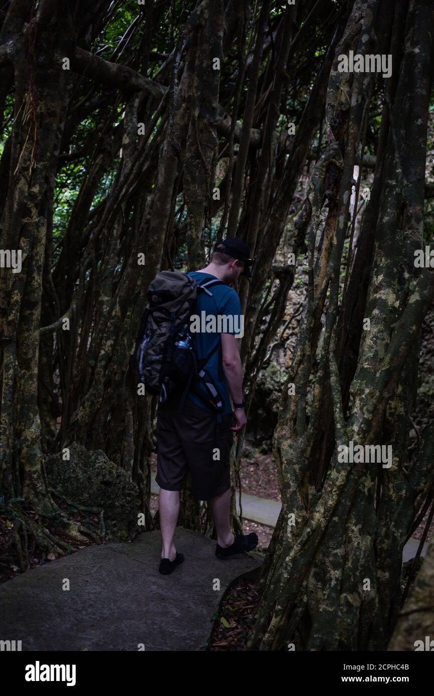 Wanderer in der Kenting National Forest Recreation Area Stockfoto