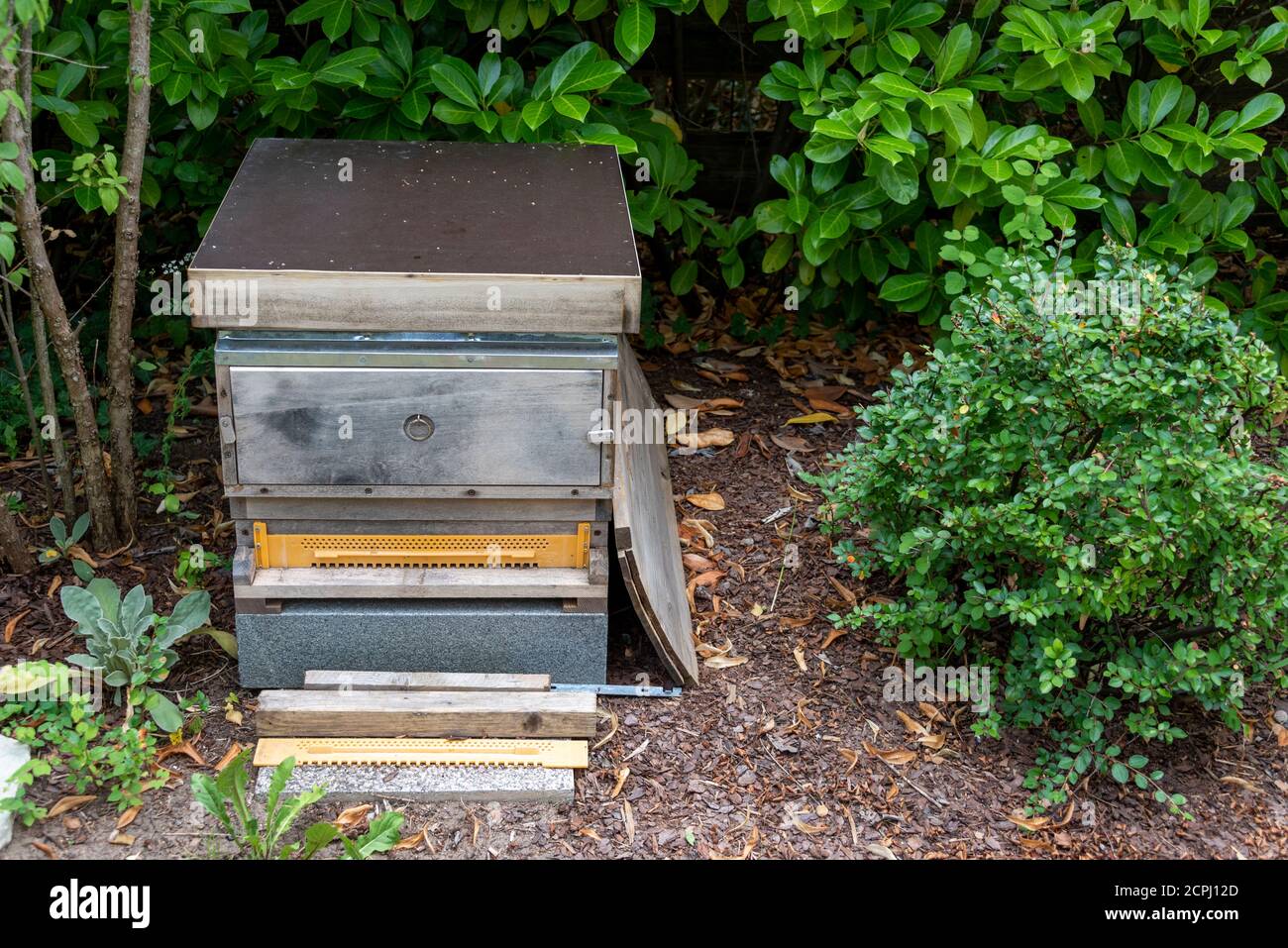 Bienenstock, Bienenstock, Imkerei Stockfoto