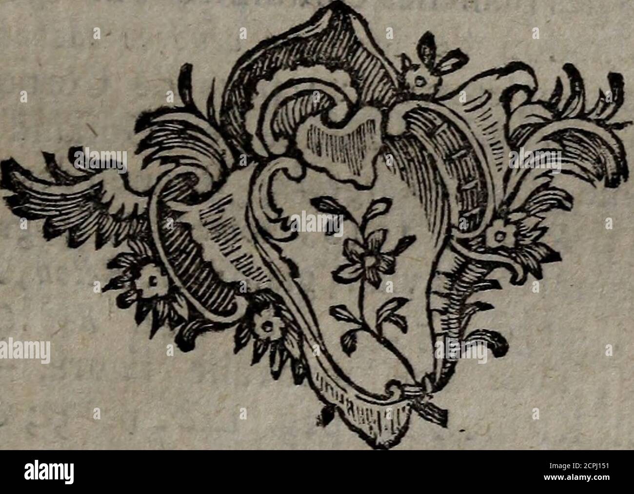 . Histoire naturelle des oiseaux . Navigateur, on reconnoî-tra à tout le rcfte notre mouette blanchedans fon ratsher fa blancheur , dit - il,furpafîe celle de la neige, ce qui fe mar-que lorfque Toifeau fe promène fur lesglaces 5 avec une gravité qui lui a faitdonner ce nom de ratsher on fénateur;fa voix eft baffe & forte, & au lieu queles petites mouettes ou kirrnews , fem-blent dire kir ou kair ^ le fénateur ditkar; il fe tient ordinairement feul, à moins vties cinereo-plumbei, iingues vigri. Dlgitus poflicusarticulatus, unguiculatus» Alt caudâ longiores. Cauda(Squalls, -pedibus longior. L Stockfoto