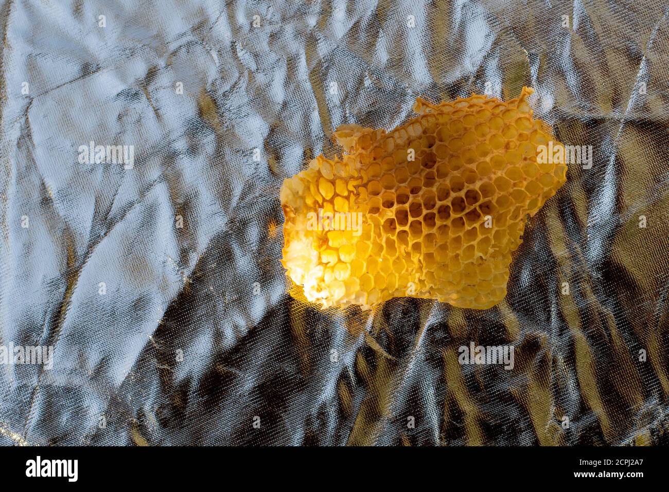 Wabe, Bienenwachs, Rücklicht, Sonnenstern Stockfoto