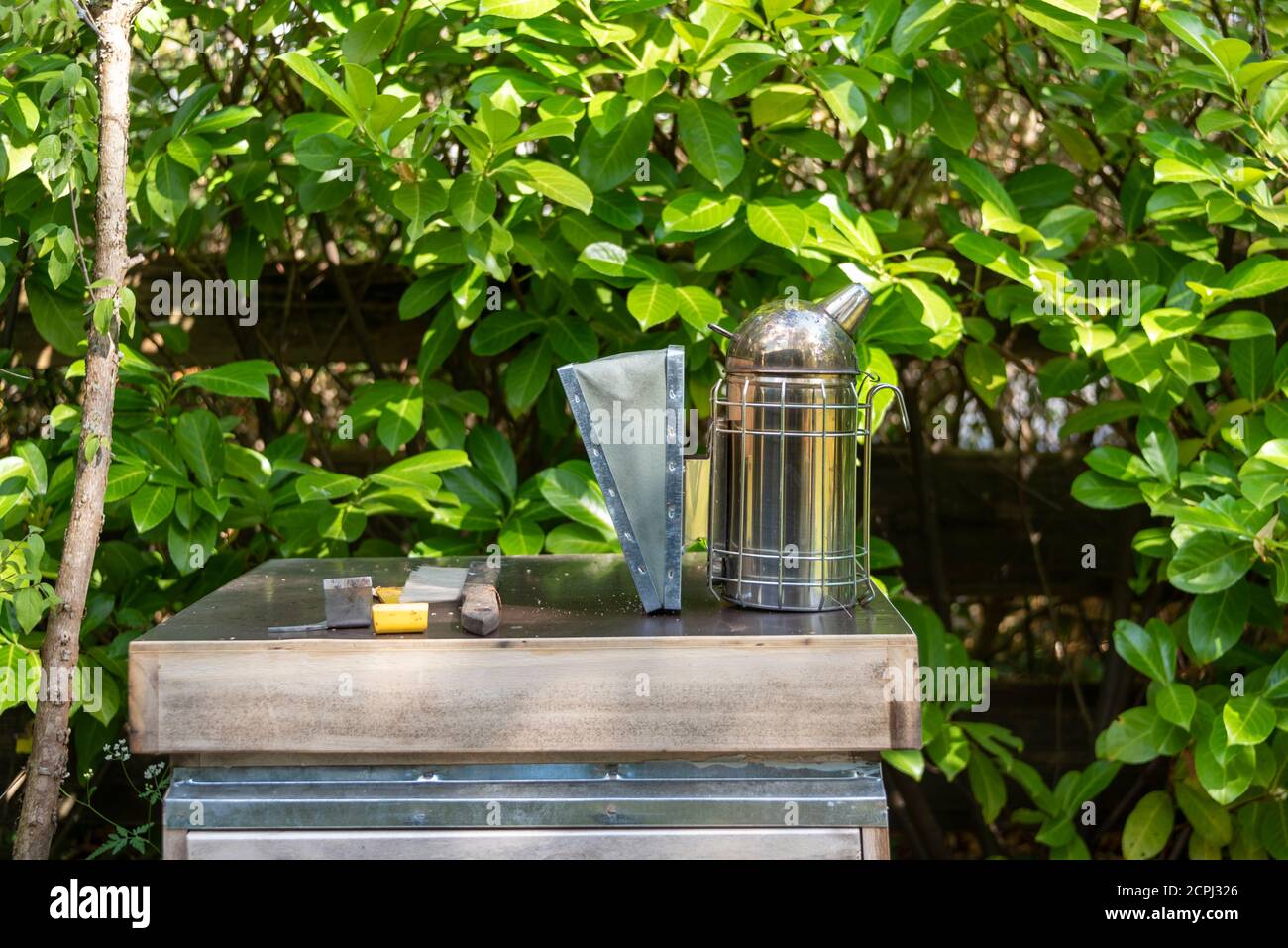 Gerät für das Rauchen von Bienen, Rauch beruhigt Bienen Stockfoto