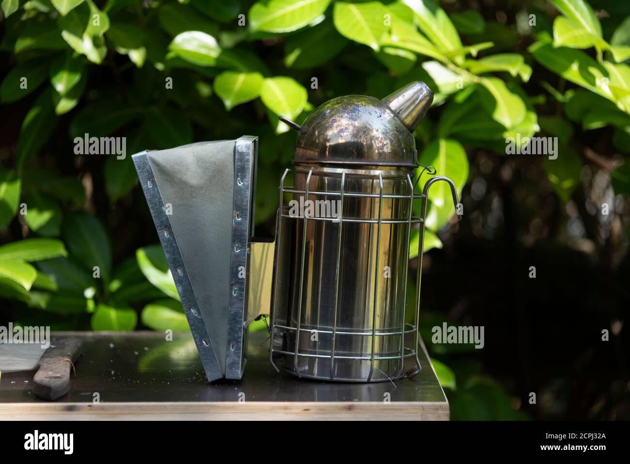 Gerät für das Rauchen von Bienen, Rauch beruhigt Bienen Stockfoto