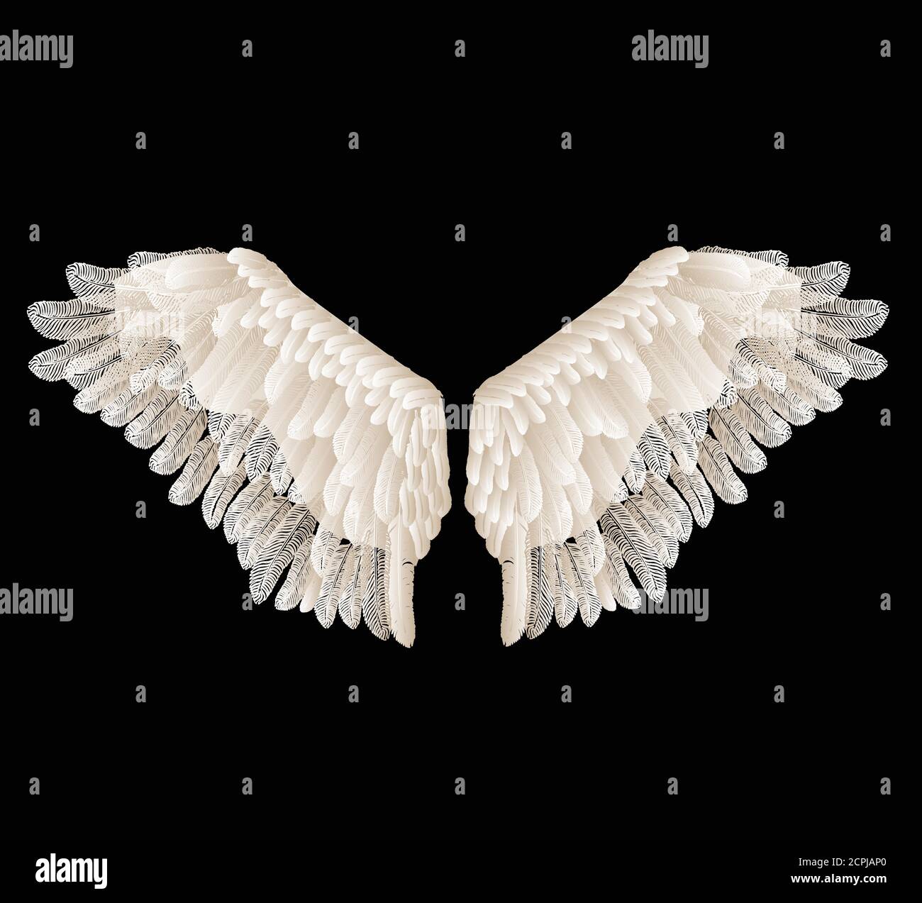 Vektor-Flügel mit Federn isoliert auf schwarzem Hintergrund. Stock Vektor