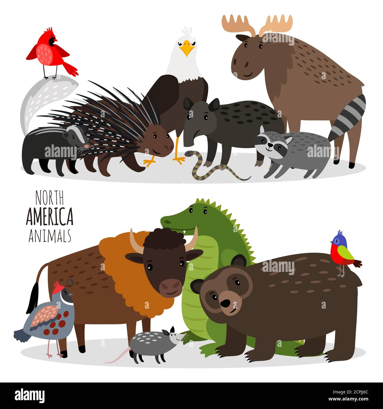 Beliebte Nordamerika Tiere Gruppen Vektor Illustration. Bären und Bisons, Stachelschweine und Alligator, Hirsche und Adler Stock Vektor