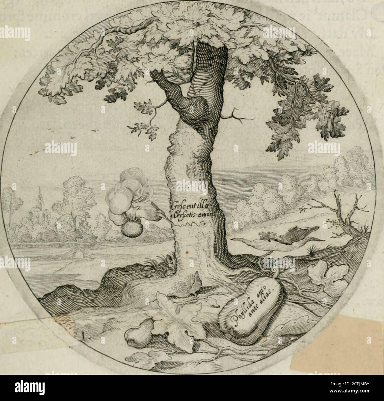. Iacobi Catzii ... Silenus Alcibiades, sive Proteus: . n beminde jDien zoute-loofen romp^ als droef door mijn verdriet,Veel tranen uyt zijn fchors daer henen vallen liet.als ick onlangs daer naer, ontrent dees plaets quam dwalen,Doen ftont mijn teer gjn Ejn ejnet fiet in. Ach. Van eenclayn begin,Allenxkens, cermen t meent, door-cruypt ons hart de min. Senfimamor, fenfus occupât^ INfcribo peponiquoties tua nomina , Fhjllhlit te ra, culte UI cujyide facïa 3 lat et : ■Jue j licetfatuus j fort cm miferatus cortics^ ^e Tlorat Stockfoto