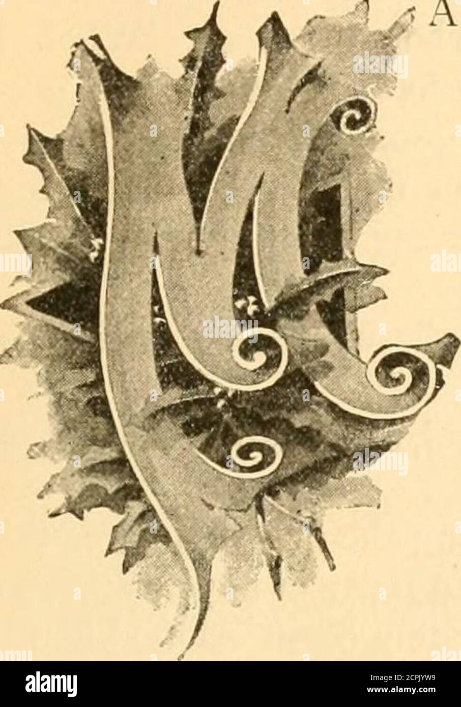 . Das große amerikanische Buch der Biographie. 368 THOMAS JONATHAN JACKSON, DIE QREA.T CONFEDERATE OENERAL.. ALLE bemerkenswerten Zeichen wurden auf bothsides in den großen Bürgerkrieg von 1861 entwickelt. Die kriegerischen in Männer Qualitäten und Kräfte, die nie zuvor bekannt oder vermutet. Einer der ersten Strikinof solcher Charaktere war der tapfere andable, aber exzentrischen Mann als Stonewall Jackson bekannt, der in der Schlacht von Chancellorsville, im Mai 1863 fiel. Thomas Jonathan Jackson wurde am 21. Januar 1824 in Clarks-burg, Virginia, geboren. Im Alter von achtzehn wurde er zum West Point Mili-tary Acade Stockfoto