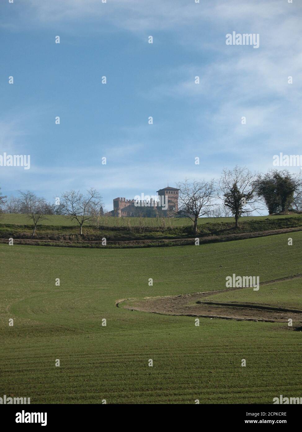 Eine vertikale Aufnahme des Parks in der Nähe der Burg Gabiano In Italien Stockfoto