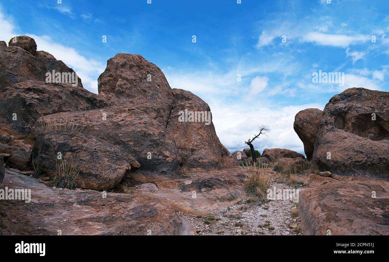 Blick auf die Felsbrocken, aus denen der City of Rocks State Park in New Mexico, USA, besteht Stockfoto