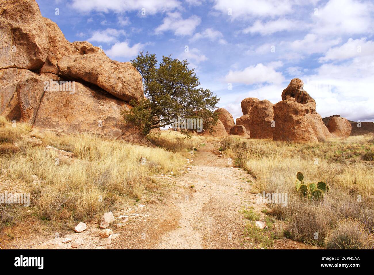 Blick auf die Felsbrocken, aus denen der City of Rocks State Park in New Mexico, USA, besteht Stockfoto