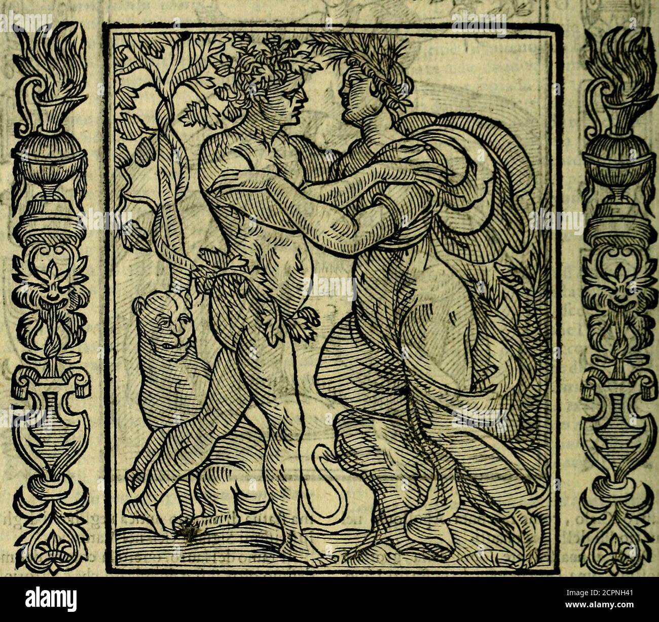 . Nova iconologia . ette, denota anco la copia dilauri,di che abbonda quefta Prouincia,& quellosche Plinio narra irei lib if.al Cap.jo- cioè,Che Fu vnAquila,Ia quale hauendo rapita vnagallina bianca, che haubaca in bocca vn ramtt-fero di fifa lalafsò, co.£ Fopral qual fattorichiefti gìindonnii, rifpofero, ichefi doueneroconfeiuar la gallina,& i polli,che dijei nafeeeffero. Che il ramo Fi piantane, il chdteìfèndo facto nella Villa di Cefare predo il Téiierc ,nccrebbe di quefta forte di alberi vna gran felua,de Stockfoto