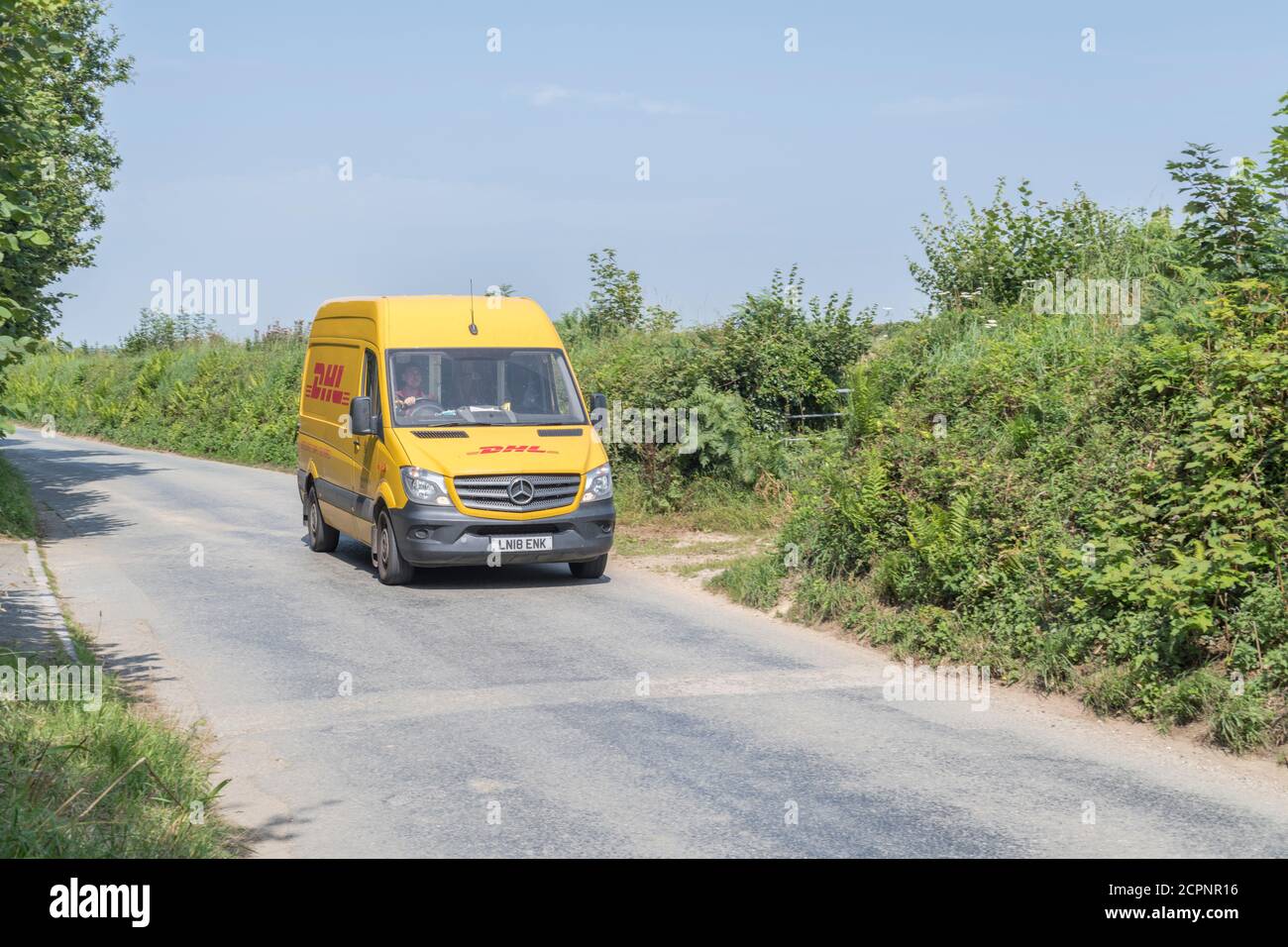 Gelber DHL-Lieferwagen (Mercedes Sprinter) auf einer ländlichen Straße in Cornisch. Für ländliche Lieferdienste in Großbritannien, Paketlieferungen, Kurierdienste. Stockfoto