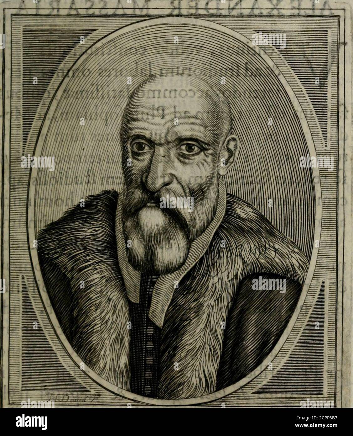 . Iacobi Philippi Tomasini Patavini Illvstrivm virorvm elogia iconibvs exornata .. . ALE. Lilufi^ Vir, E/A^4 i^S. Alexad Erma^sariaVicent . Philo ^OPHM. ^ROFEcS^i^ODER. Alexander MASSARIA Vlcentinus^ valid^ conftitutionis Vir,& ad ftudioruni labores omnes perfferendos accommodati/fim^;, quibusfad:um eft^vr^jcumad Philofophiam^Acme-dicinam perdifcenda vires omnes tum aninii,tum corporis intendifumfumet^breuitemearfumerlis^^ In Patria primurrLMedicinam exercuit, & in Olimpica Acade-Mia omnium Italix Stockfoto