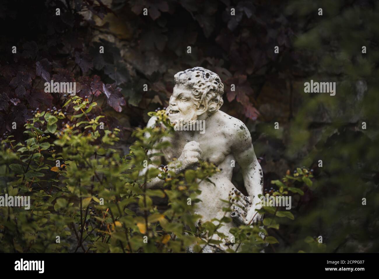 Hever Castle, 30. August 2020: Weiße Statue Skulptur von Pan der griechische gott mit einer Flöte in der Hand versteckt hinter Laub frech aussehend Stockfoto