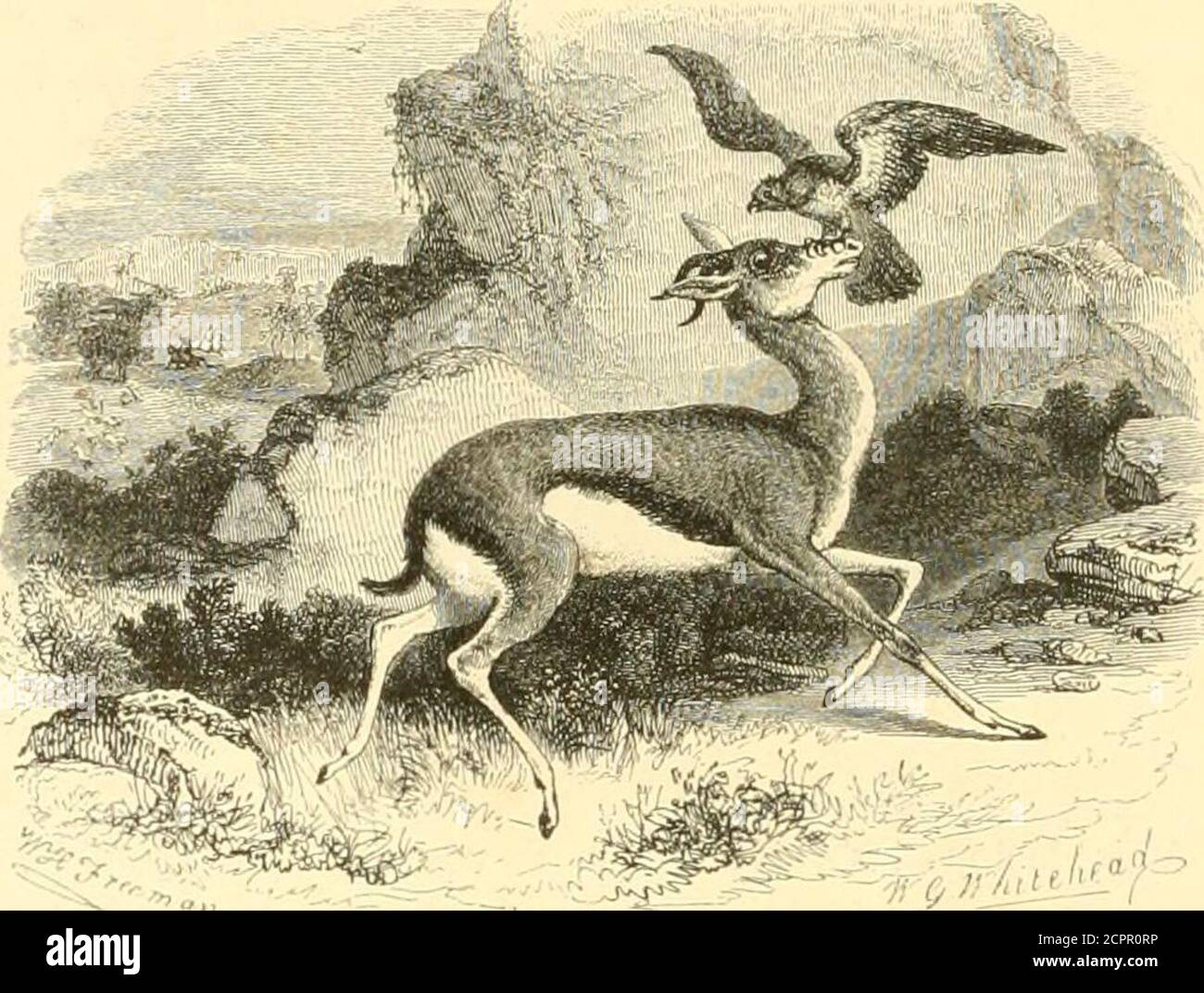 Heiliger Hilaire Le Chateau Stockfotos Und Bilder Kaufen Alamy