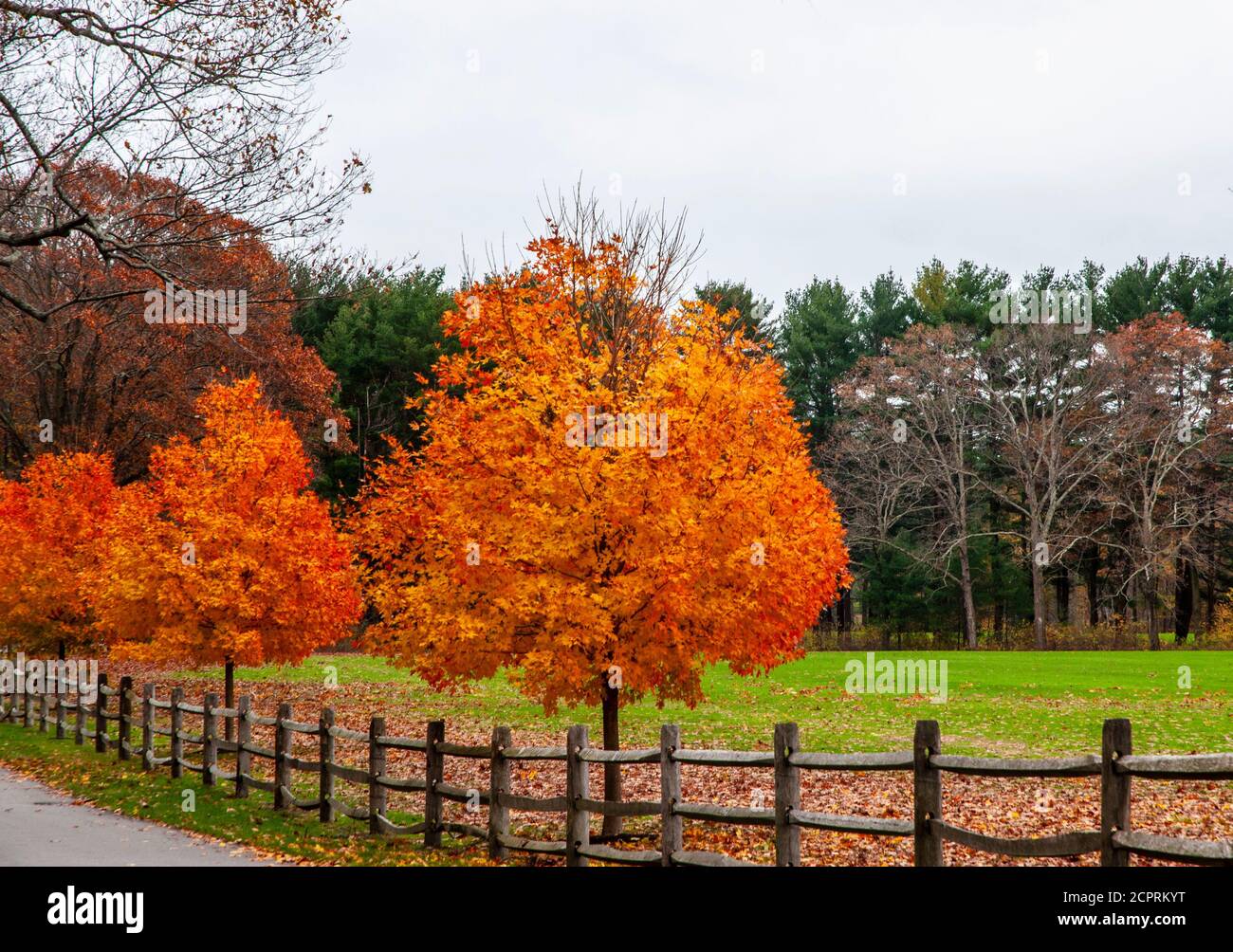 Kühlere Nächte bringen das Beste in den Herbstfarben hervor Stockfoto