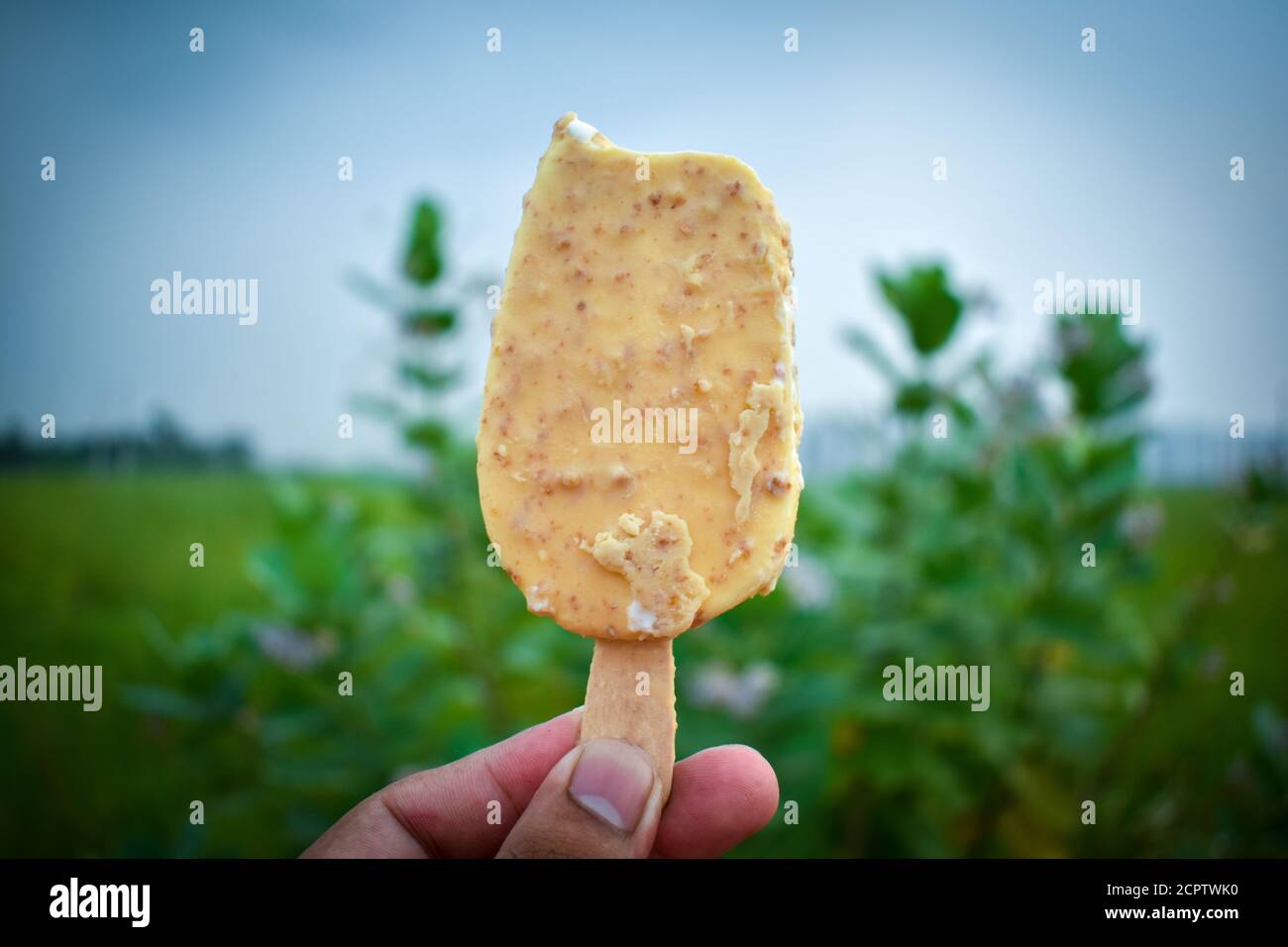 Die Hände des Mannes halten Eis in einem grünen Hintergrund Stockfoto