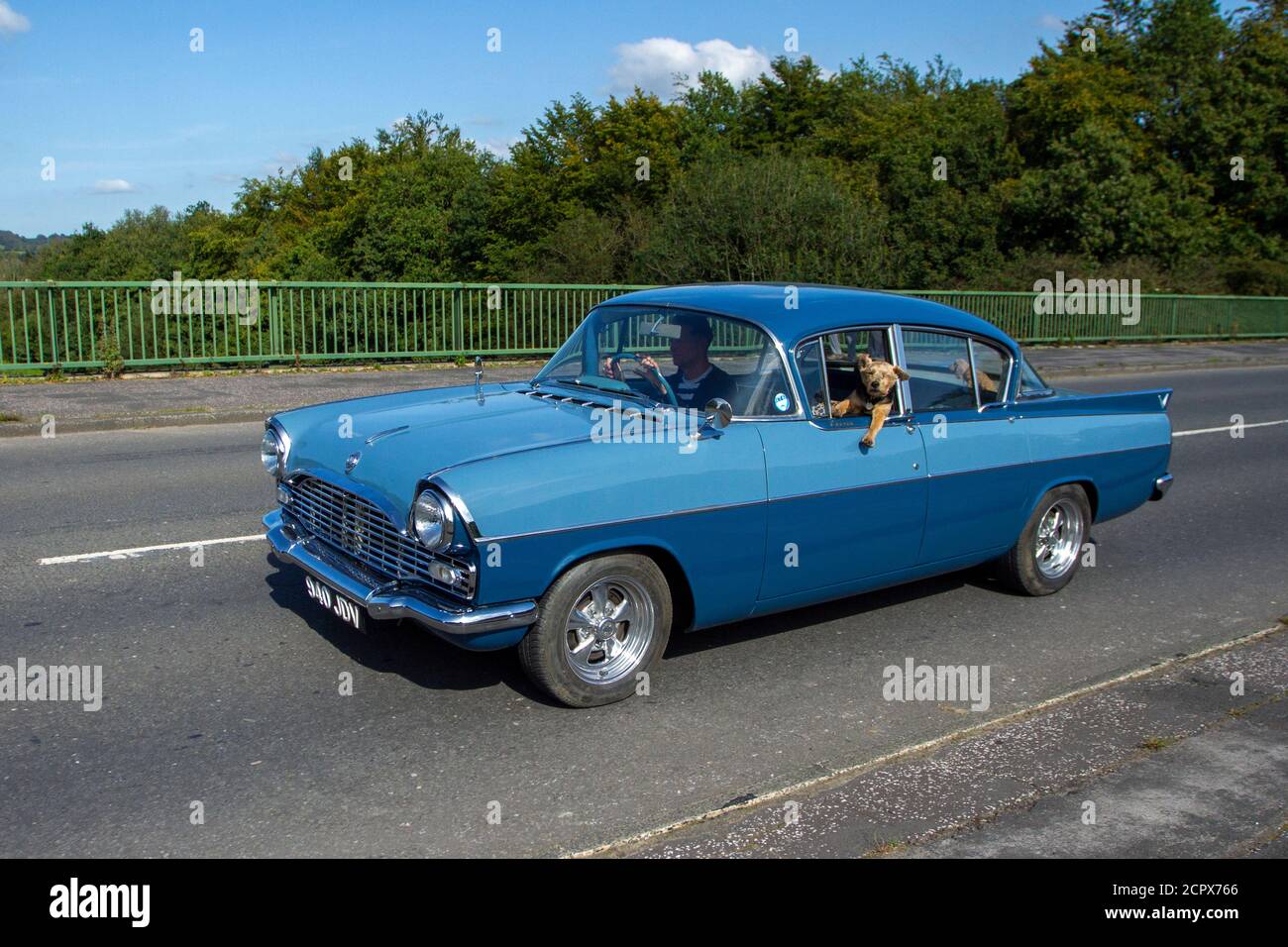 1961 60s Scosties Blue Vauxhall Cresta 2651cc mit einem Plüschhund auf dem Vordersitz, der sich aus dem Fenster lehnt; Fahrzeugverkehr, Fahrzeuge, klassische britische Autos, restaurierte Fahrzeuge auf britischen Straßen, alte Motoren, Autobahnfahrten. Stockfoto