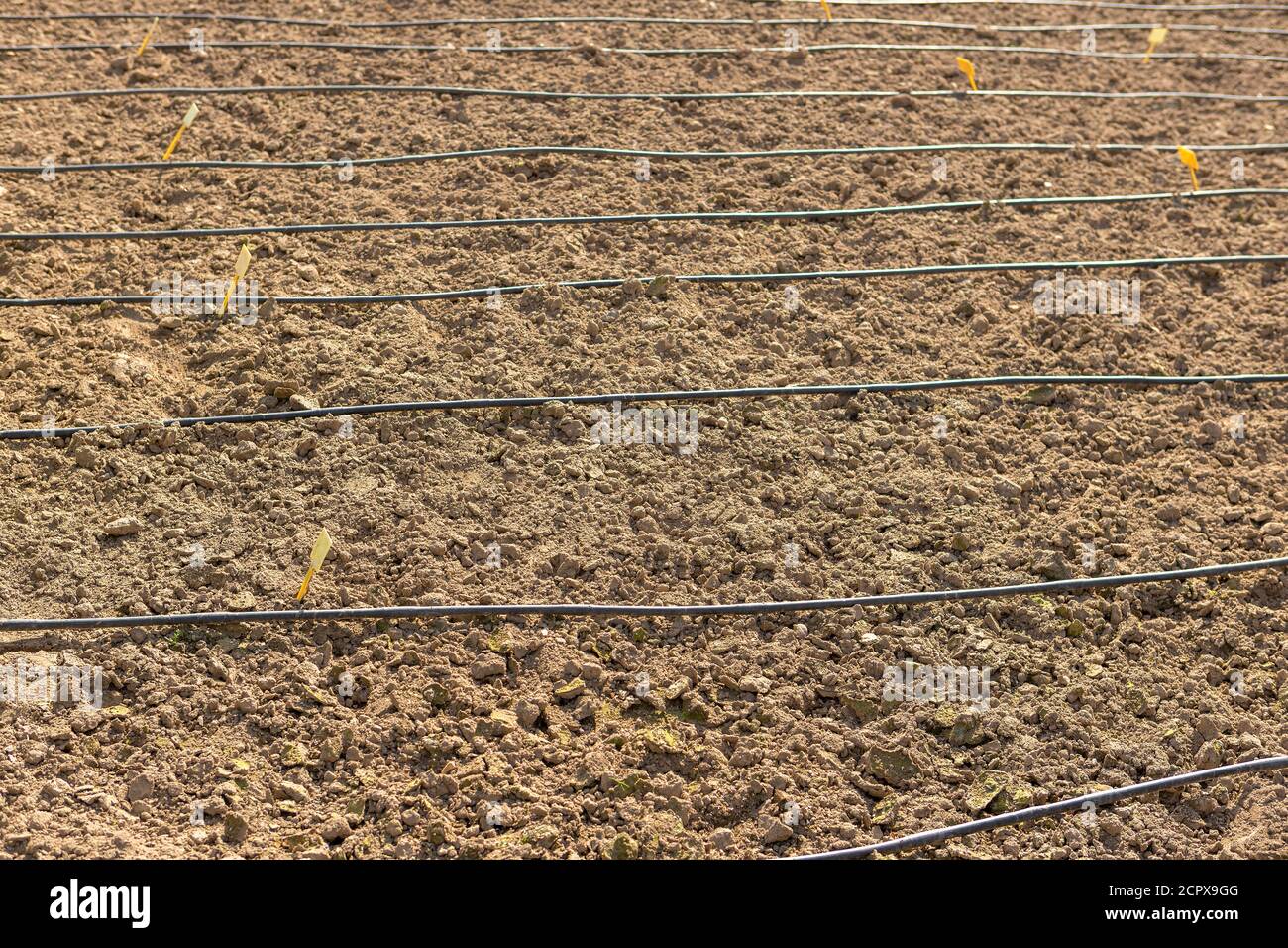 Frisch gepflügte markierte Farm Land von der Sonne beleuchtet Stockfoto
