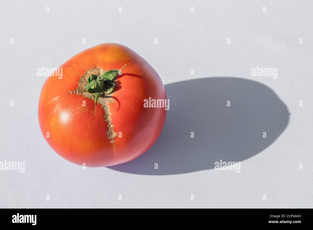 Eine reife Tomate liegt auf einem weißen Tuch in der Sonne. Scharfer Schatten Stockfoto