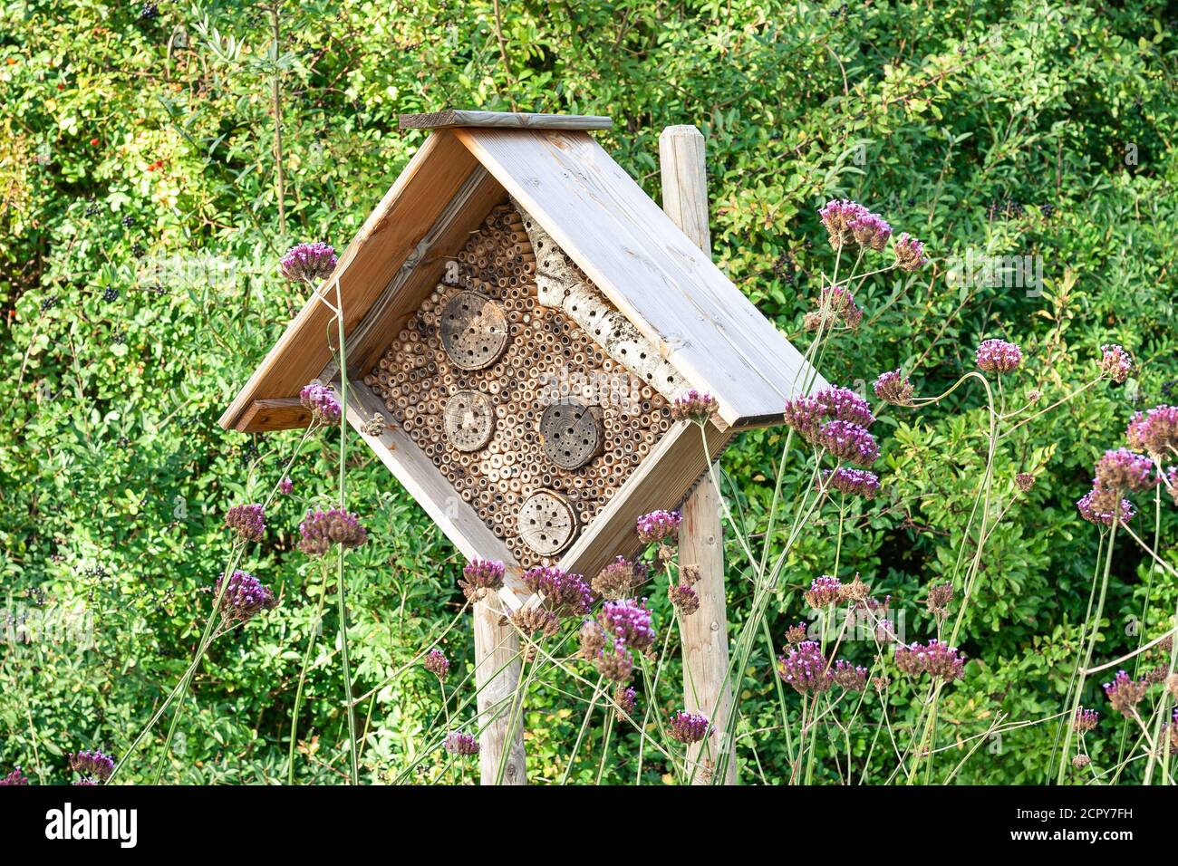 Holzstruktur mit vielen Löchern, Insektenhotel genannt. Ziel ist es, die Insekten in einer städtischen Umgebung zu versorgen. Stockfoto