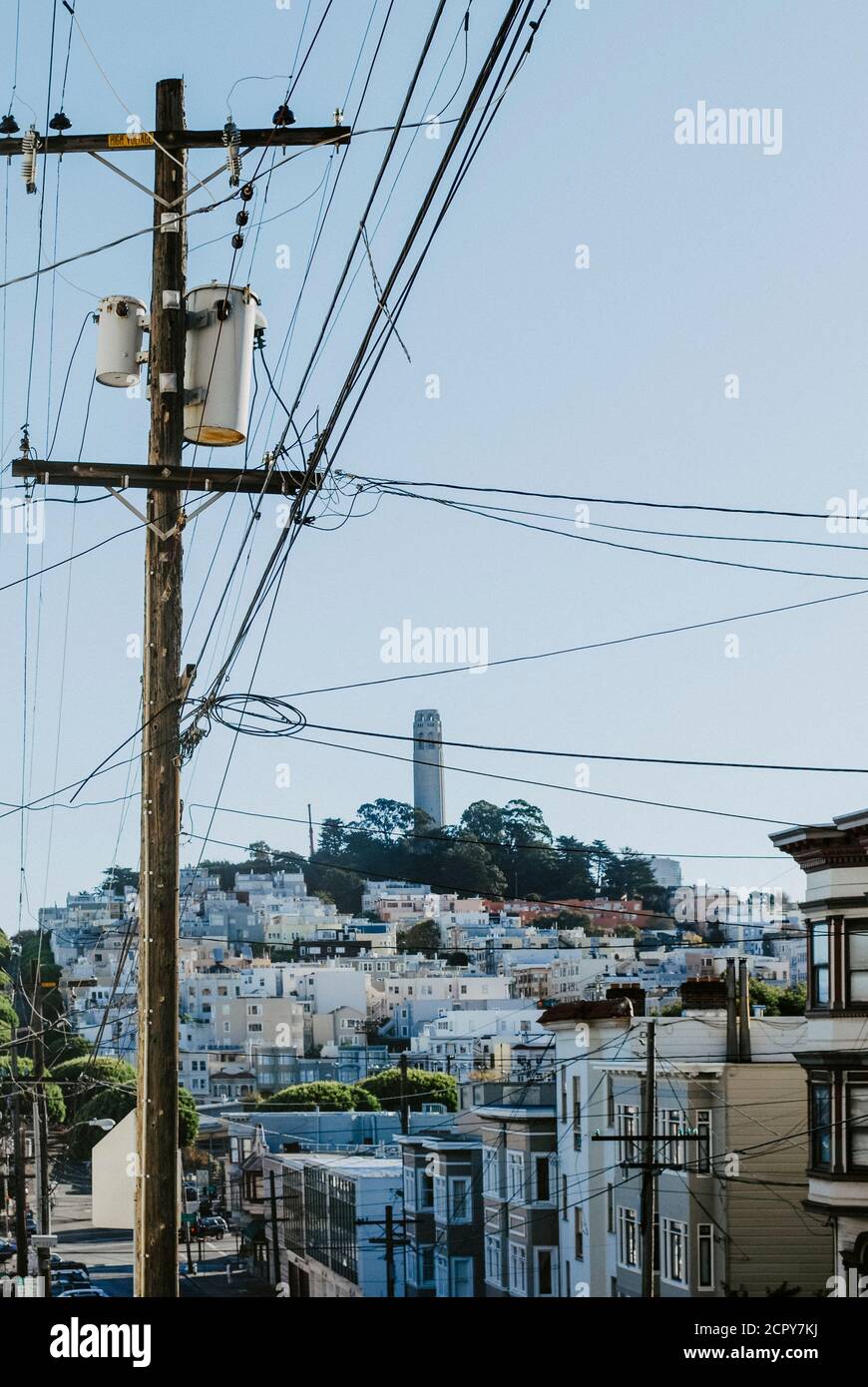 USA, Kalifornien, San Francisco, Coit Tower überragt die Häuser von San Francisco Stockfoto