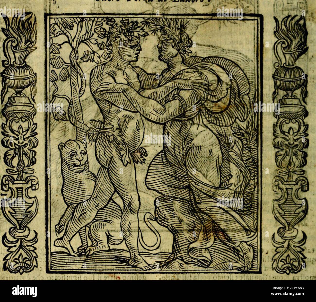 . Nova iconologia . opia dilau radiche abbonda queftaProuincia,&quello.che Plinio narra nel lib ij-al càp.50. cioè,che Fu vuAquila,la quale hauendo rapita vnagallina bianca, che haueua in bocca VII ramil-ICE ILO di lauro carco di bacche,la lafsò caderefalui di Libogrie, la Augregrele fòp ral qual fatto richieftigrindouini.rifpoièro, chefi douefleroconferuar la gallina,& i polli,che dì lei nafeeffero.Che il ramo Fi piantaflc, il che eflendo fatto nella Villa di Cefare predò il Tenere,necrebbe di querta forte di alberi vna gran felfanua,della quale trionale Stockfoto