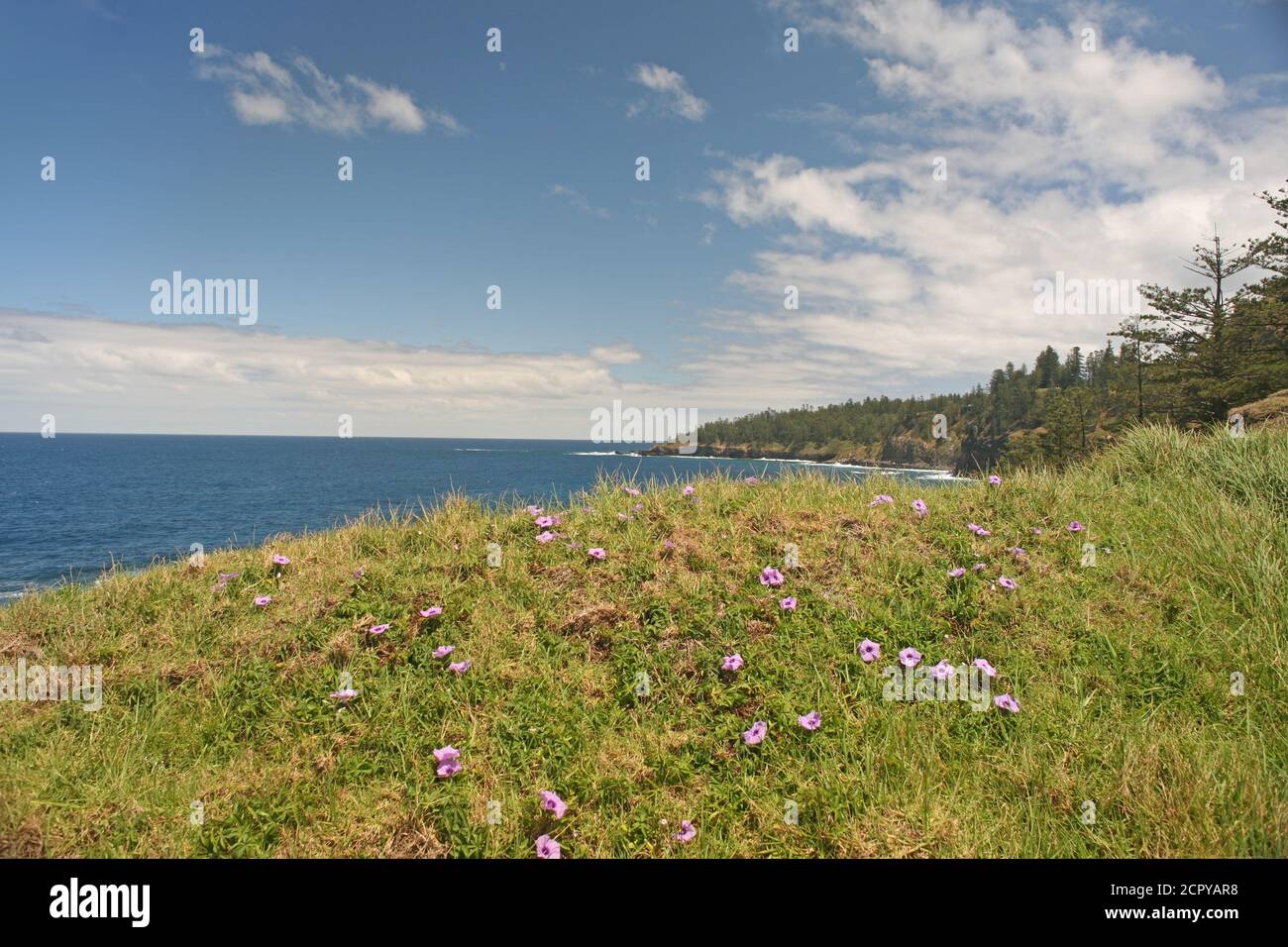 General Shots Von Norfolk Island, Australien Stockfoto