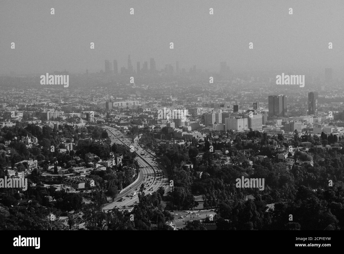 USA, Kalifornien, Los Angeles, Blick über Los Angeles, Downtown Los Angeles, schwarz und weiß Stockfoto